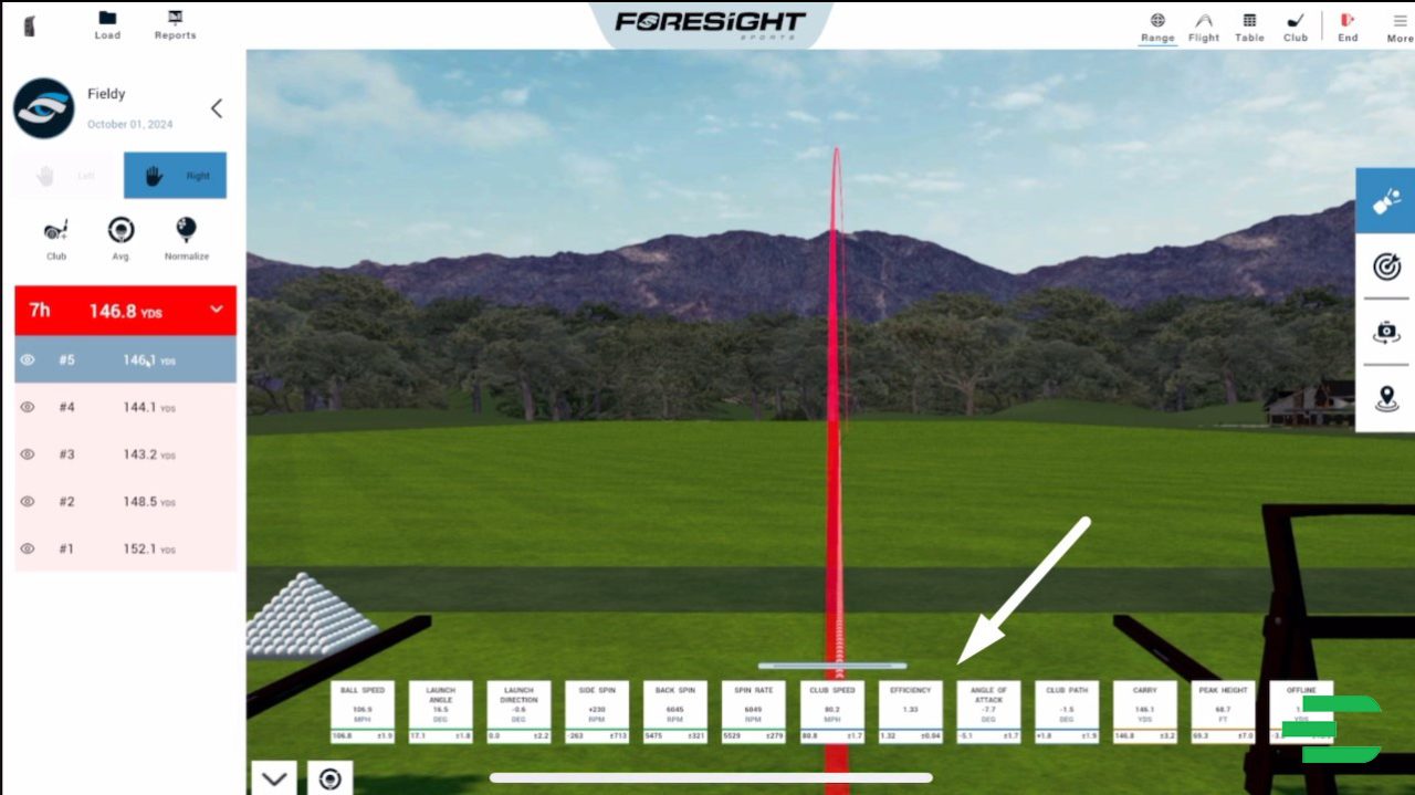 FSX Pro driving range view with efficiency and angle of attack data highlighted.